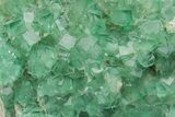 Green, Fluorescent, Cubic Fluorite Crystals - Madagascar #211075-3